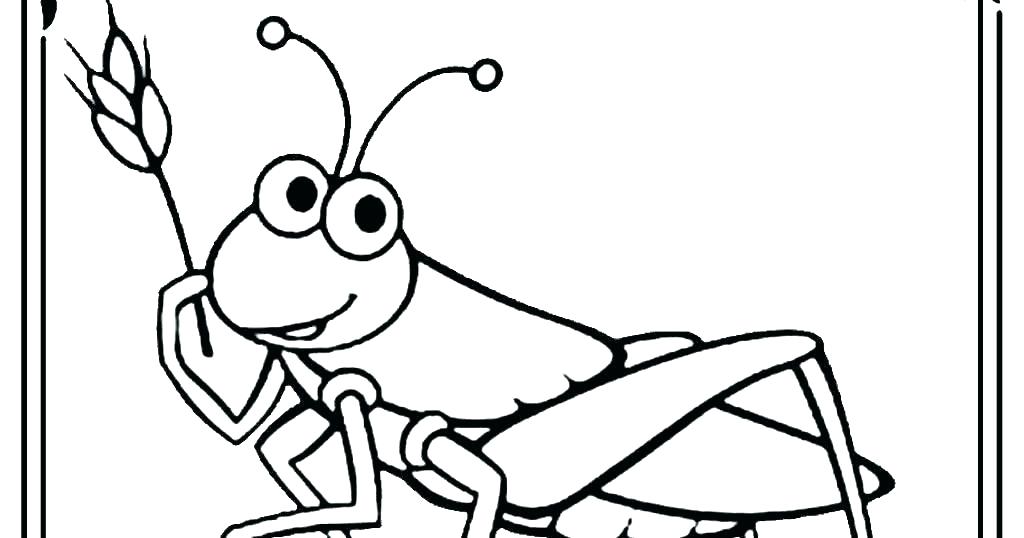 1024x538 Coloring Pages Online For Toddlers Adults Free Desert Lizard Stock