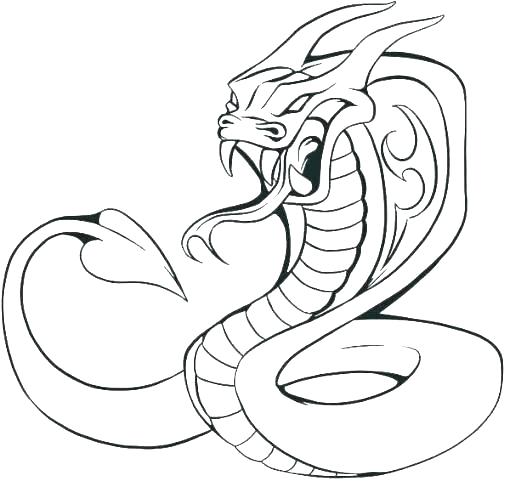 510x487 anaconda coloring