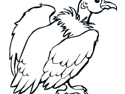 440x330 Desert Animals Drawing At Free For Personal Use Arizona Coloring