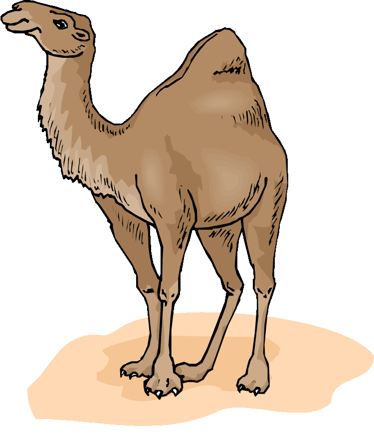 750x883 Cliparts For Free Download Desert Clipart Drawing And Use