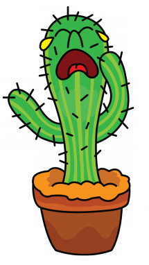 215x382 How To Draw A Cactus Drawing Step