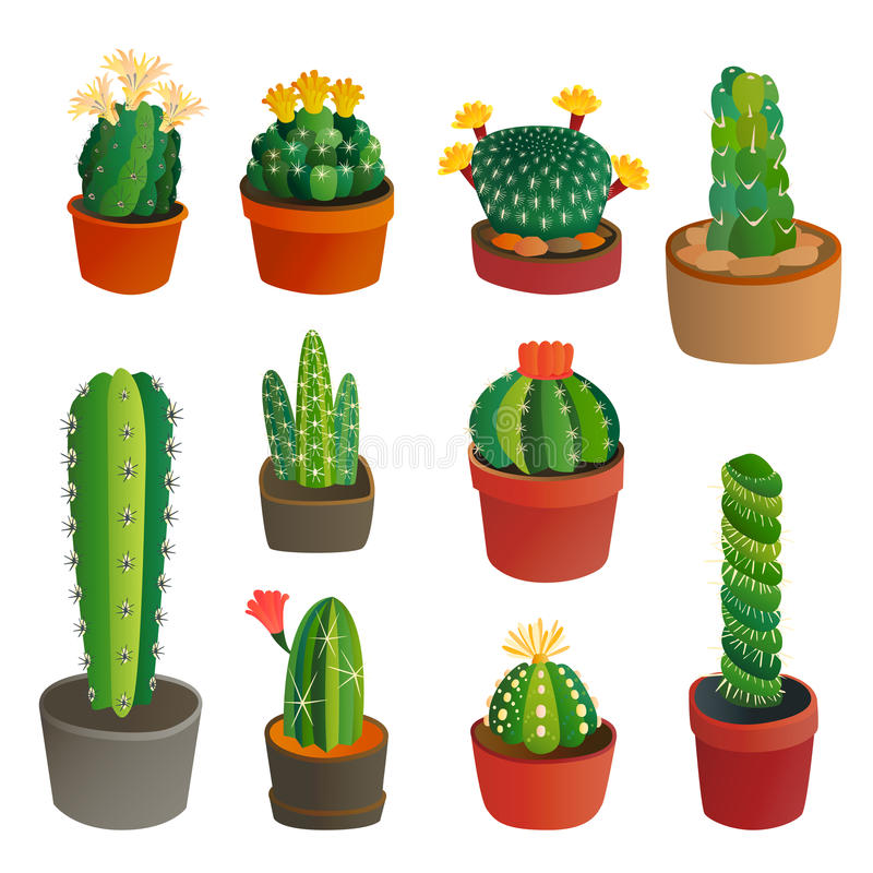 800x800 Collection Of Free Cacti Clipart Desert Creature Download On Ui Ex