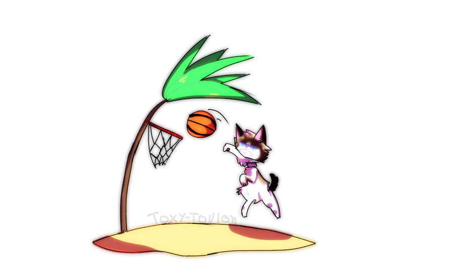 900x544 Grumpy Cat In A Desert Island Playing Basketball
