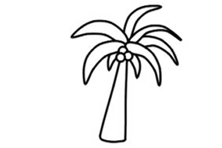 750x500 How To Draw A Palm Tree Step