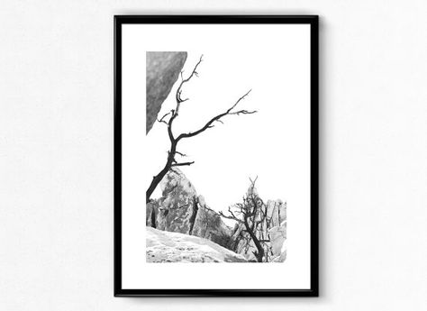 474x345 Black And White Desert Landscape