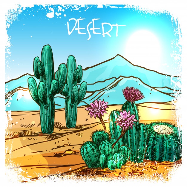 626x626 Cactus Plants In Desert Vector Free Download