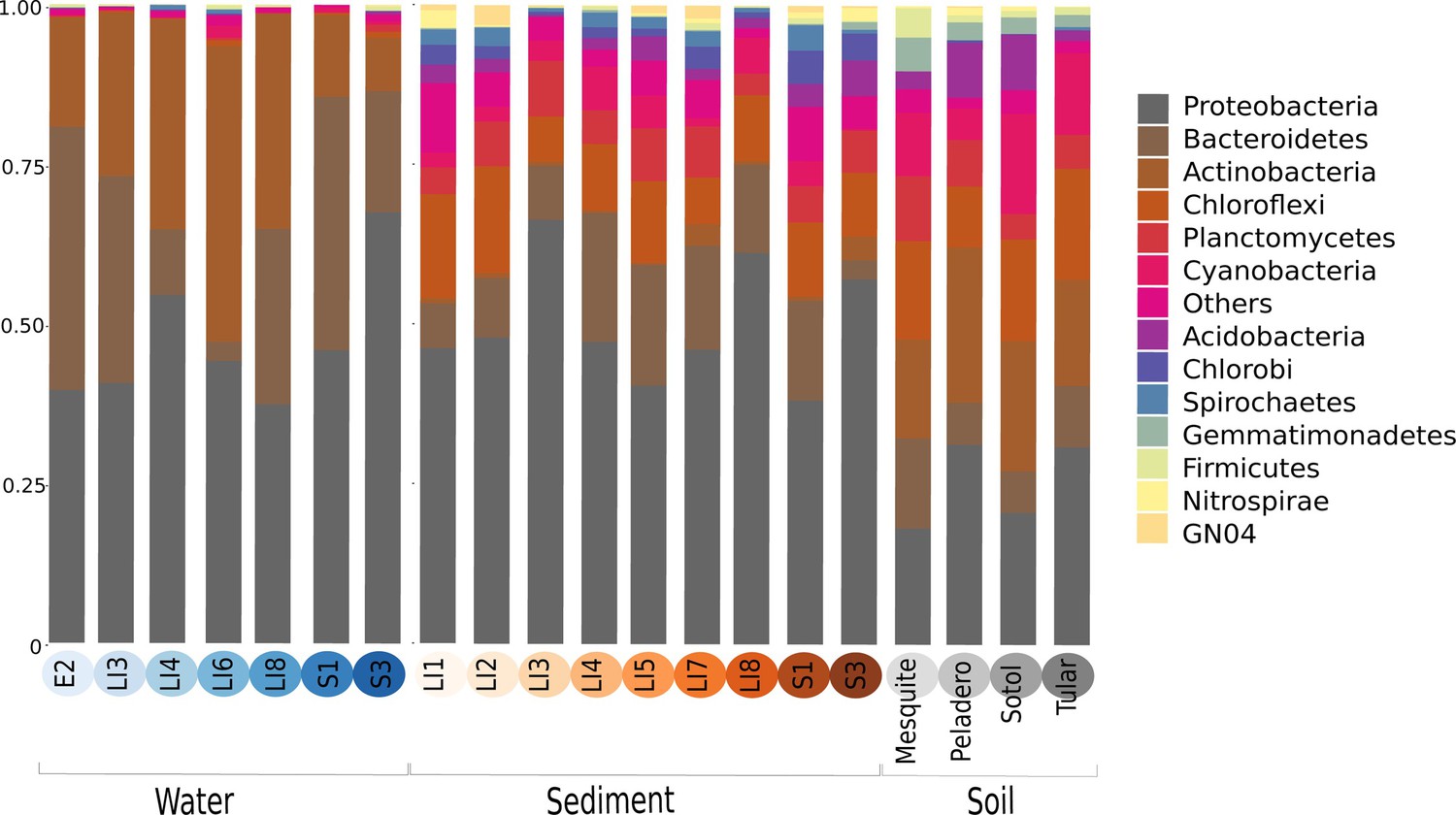 1500x840 the lost world of cuatro basin, a relictual bacterial