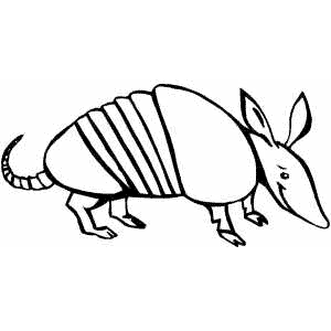 300x300 Armadillo Coloring Page
