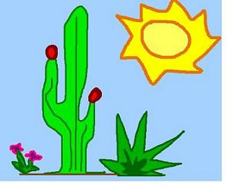 325x272 Rosie And Lily's Desert Garden Process