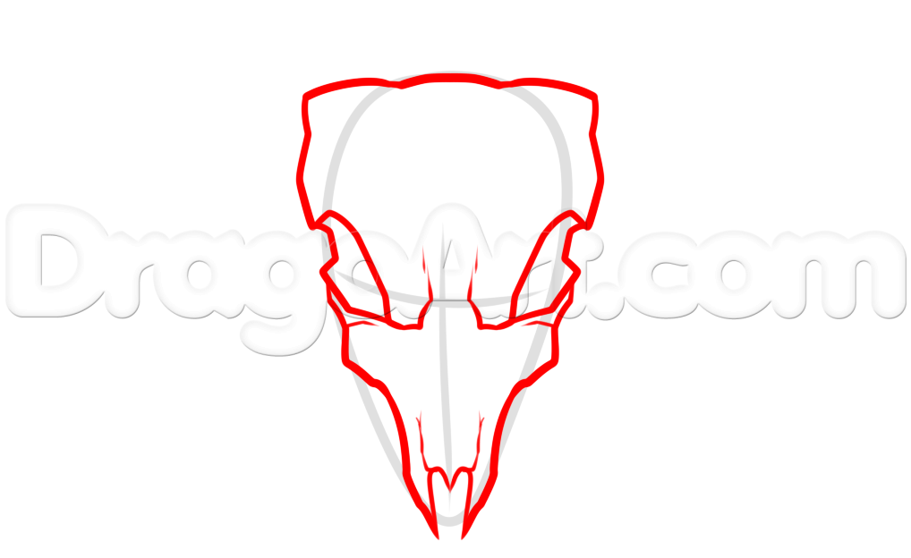 1018x624 Steer Skull Drawing, Step
