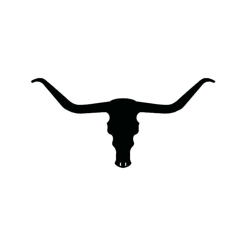 800x800 Cattle Skull