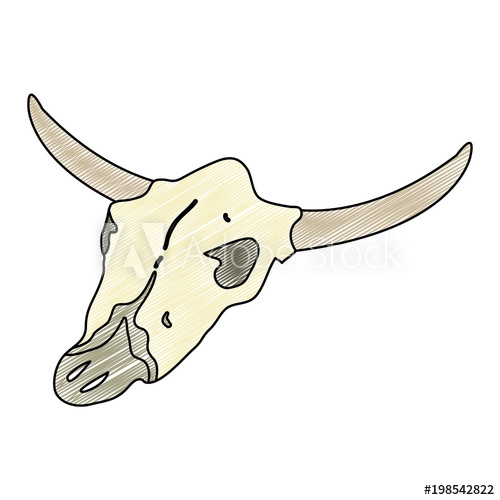 500x500 Doodle Buffalo Animal Dead Skull In The Desert