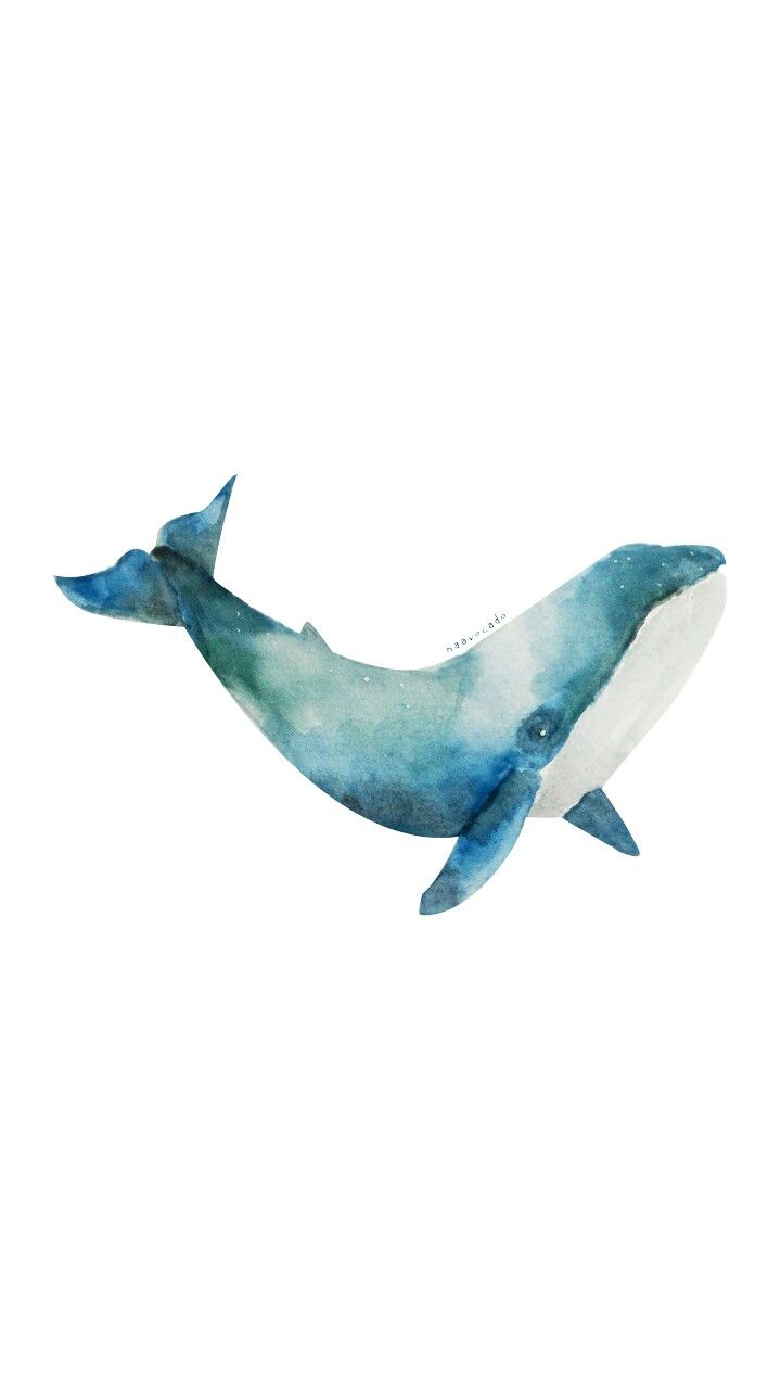 720x1280 Naavocado Whale Watercolor