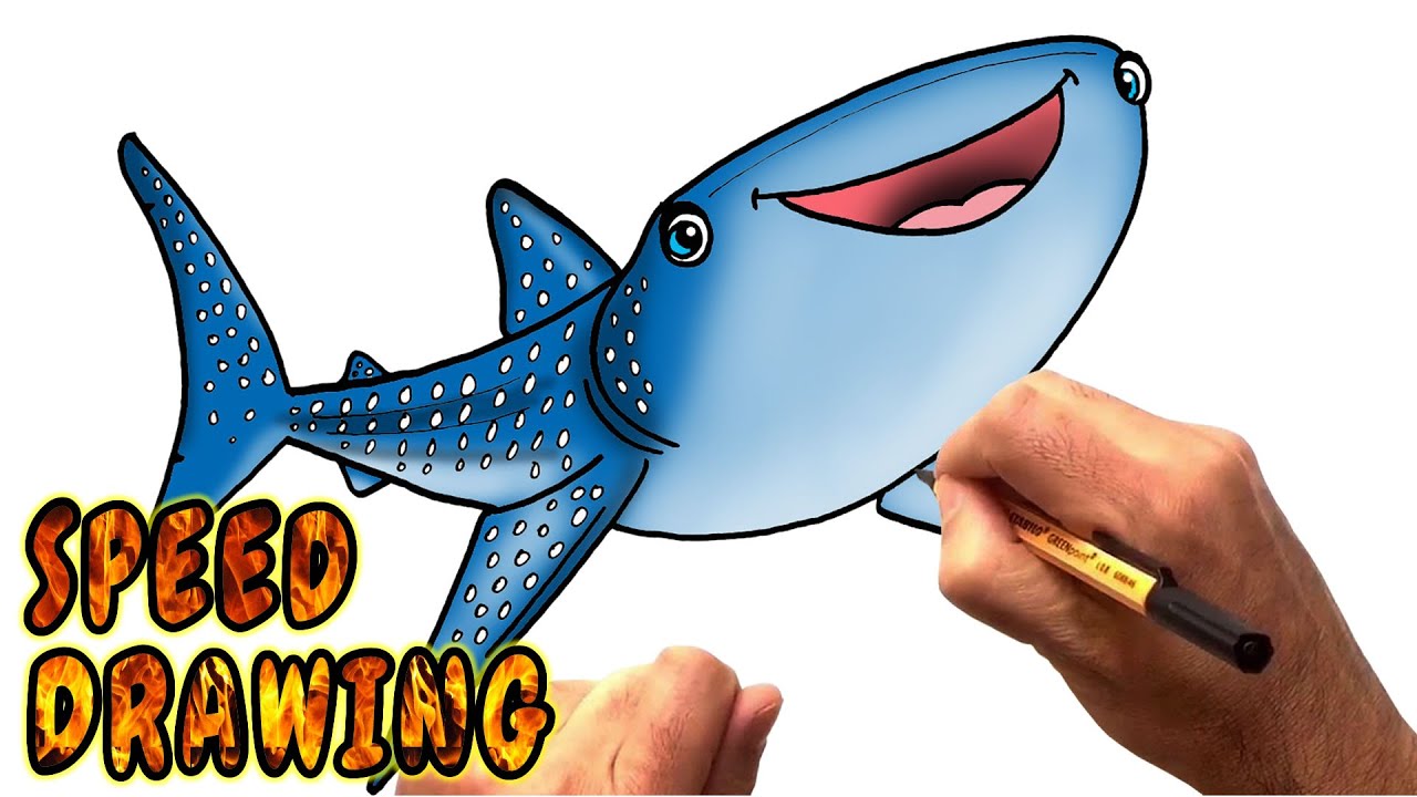 1280x720 How To Draw Destiny From Finding Dory