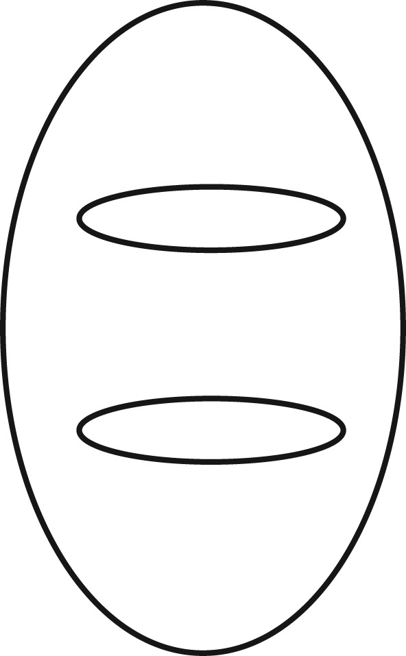 592x957 Facing Up To The Hard Question Of Consciousness Philosophical