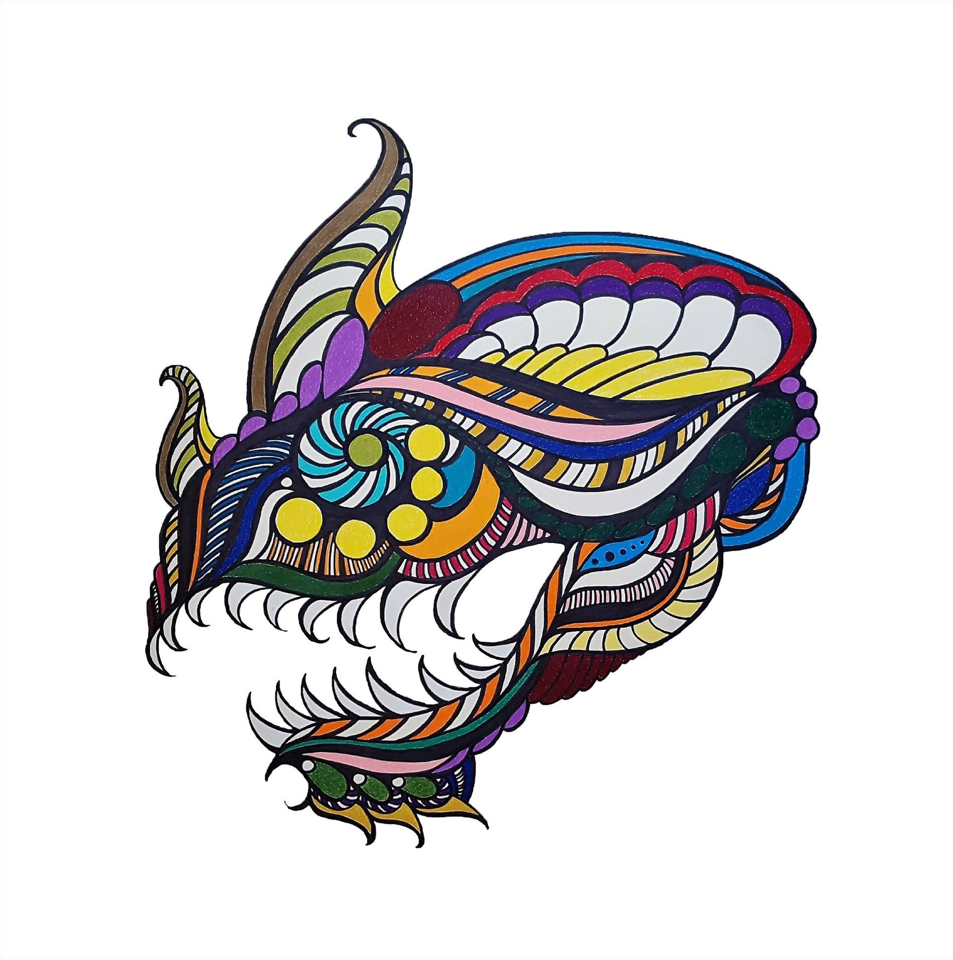 1920x1934 Rainbow Nashorn Drawing