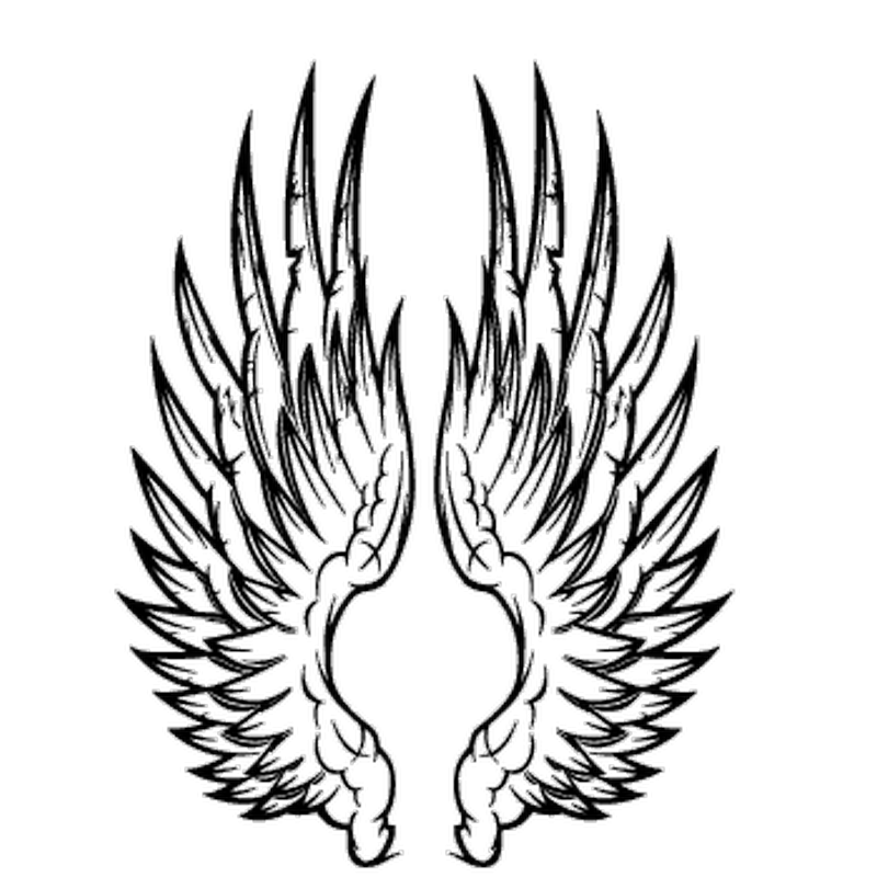 800x800 Angel Wings Decal