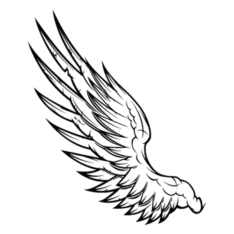 800x800 Angel Wings Fiat Decal