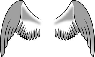 316x190 Detailed Angel Wings Drawing Wing Tattoo Drawings Free Image