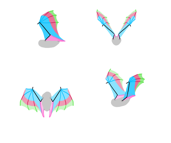 700x584 how to draw and animate wings birds, bats, and more