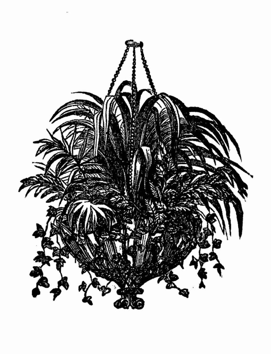 920x1201 What A Detailed And Beautiful Digital Image Of A Hanging