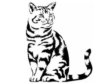 340x270 White Kitten Drawing Etsy