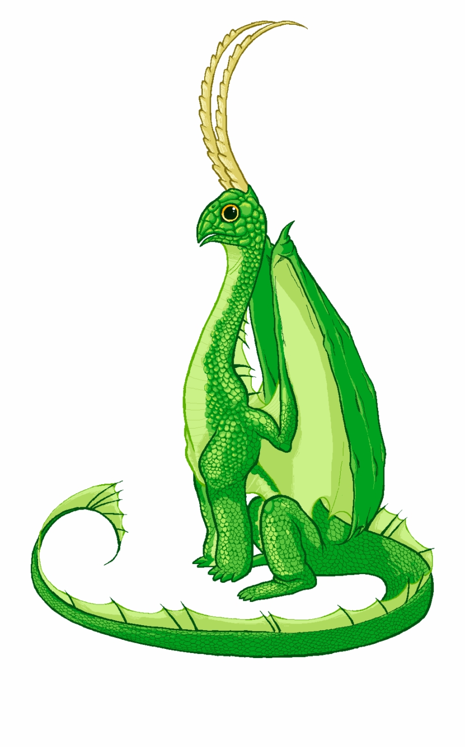 920x1478 Dungeons And Drawings