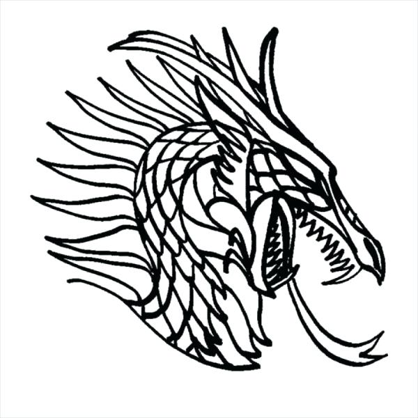 600x600 Harpies Dragon Coloring