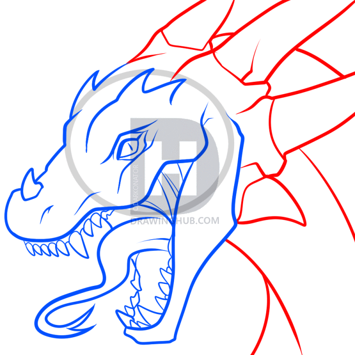 720x720 How To Draw A Dragon, Realistic Dragon, Step