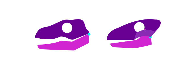 688x266 How To Draw Dragons Step