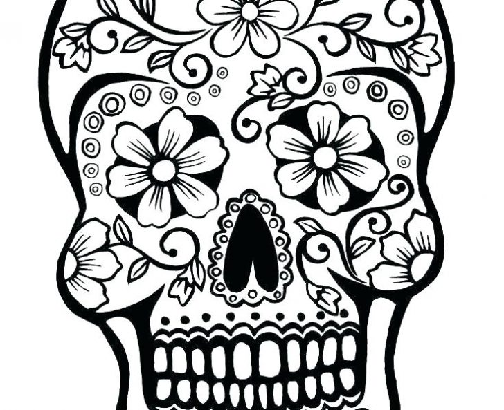 728x593 Skull Coloring Pages Anatomy Rose And For Adults Simple Sugar