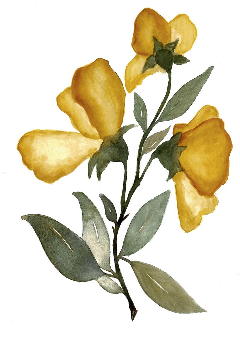 794x1161 Yellow Botanicals Pt Etsy