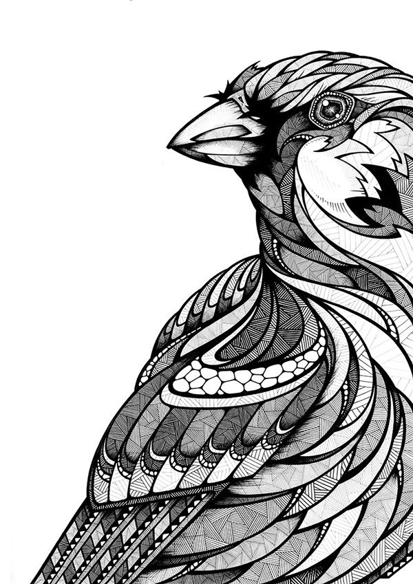 600x849 Lassrollen Animals Of Berlin On Behance Clip Art Drawings