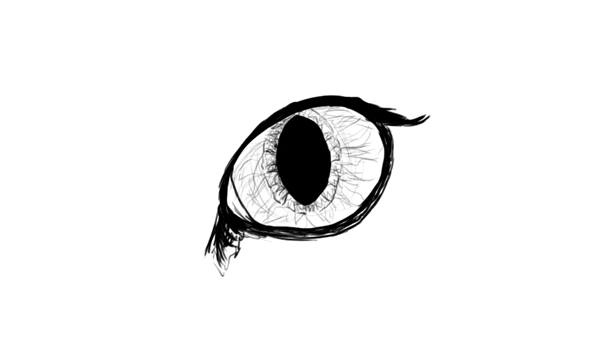 600x352 How To Draw Animals Cats And Their Anatomy