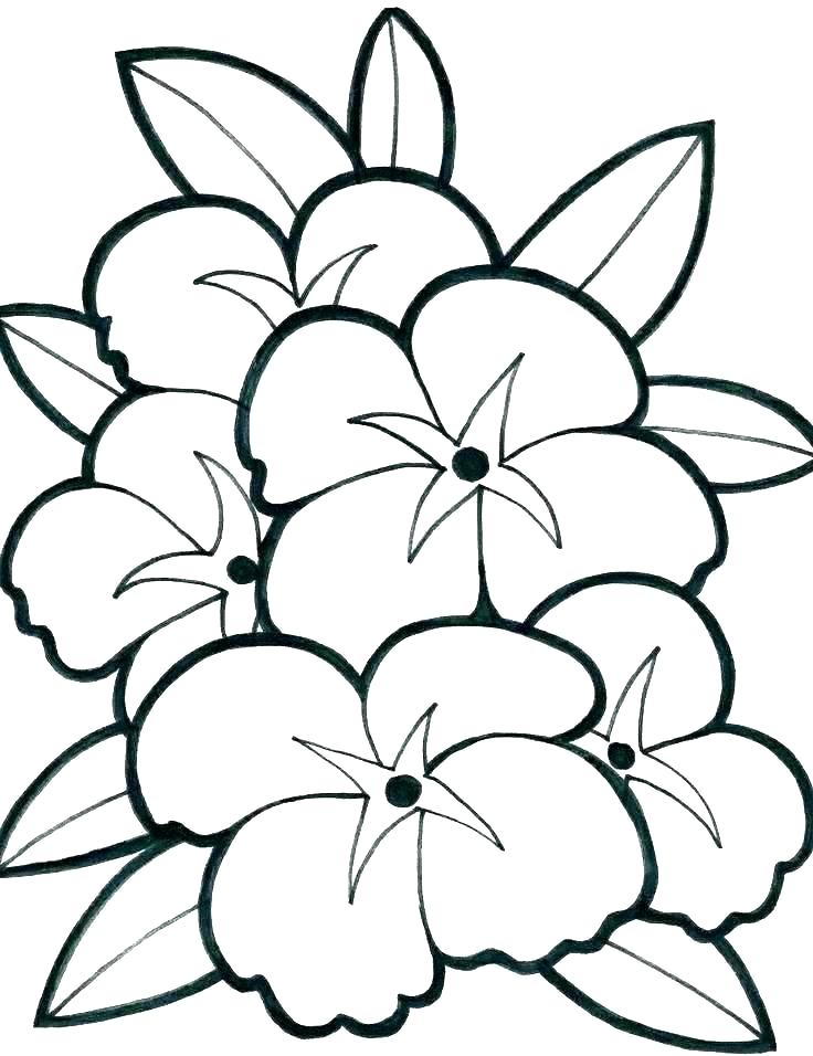 736x956 Coloring Flower Pages Simple Floral Colouring Pages Coloring