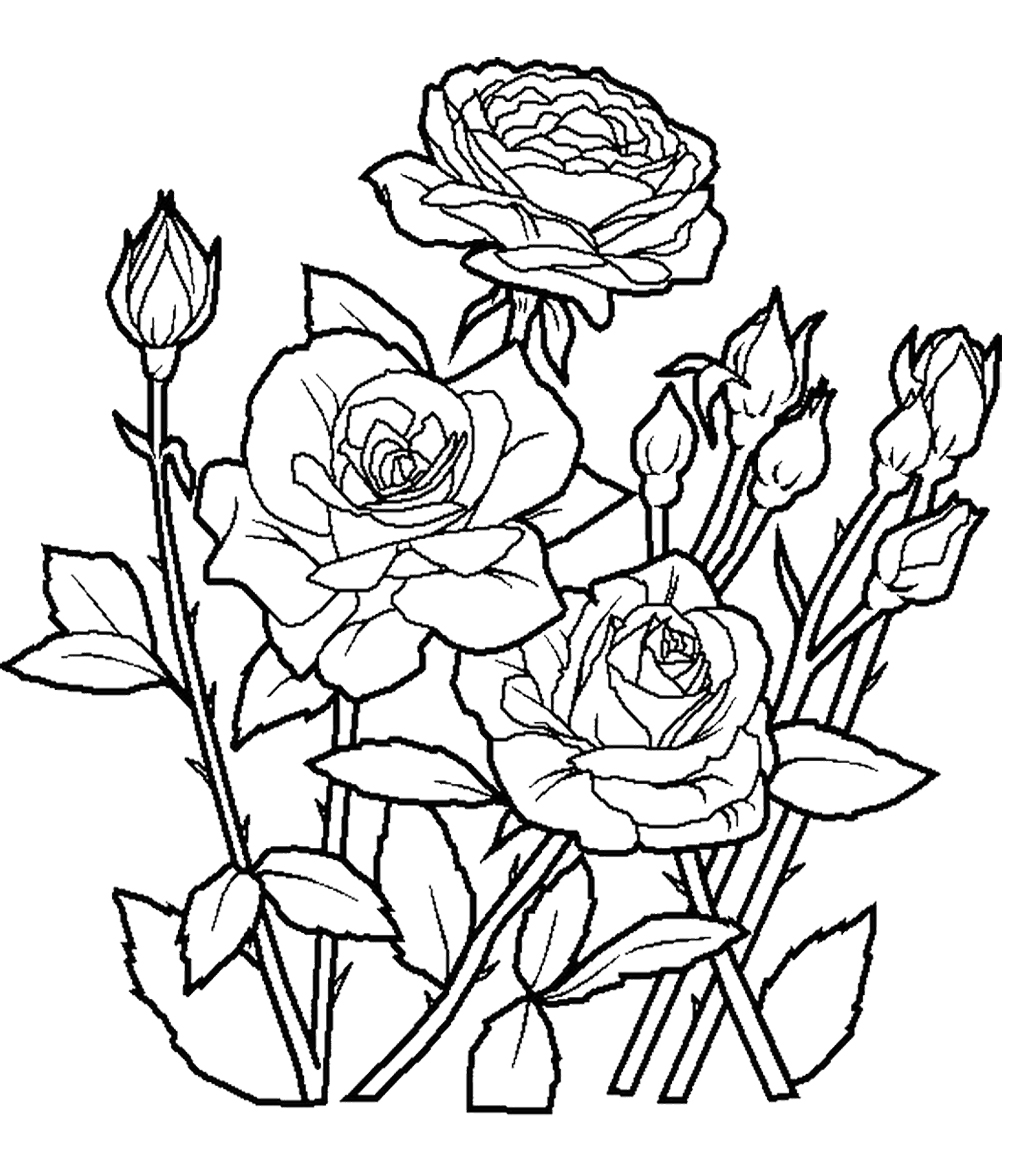 1024x1153 Coloring Pages Beautiful Flower Coloring Pages Picture