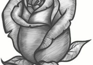 300x210 Draw A Real Rose Image Result For Detailed Flower Outline Art