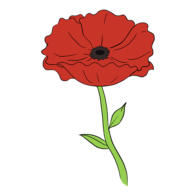 680x678 How To Draw A Poppy