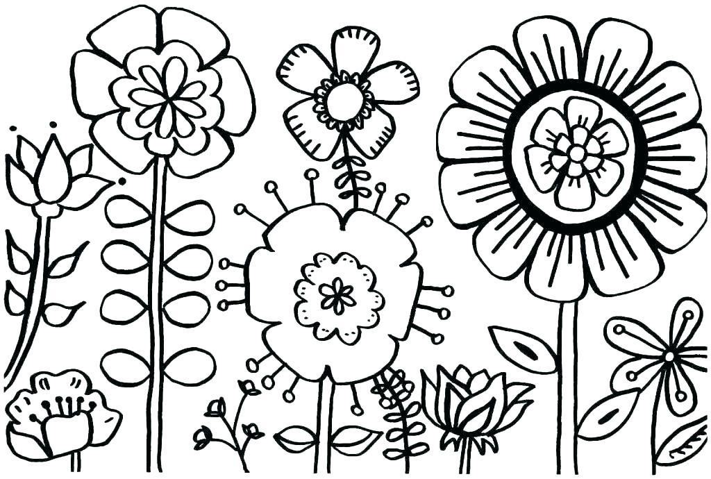 1024x690 Limited Flower Coloring Pages Flowers Printable Realistic Free