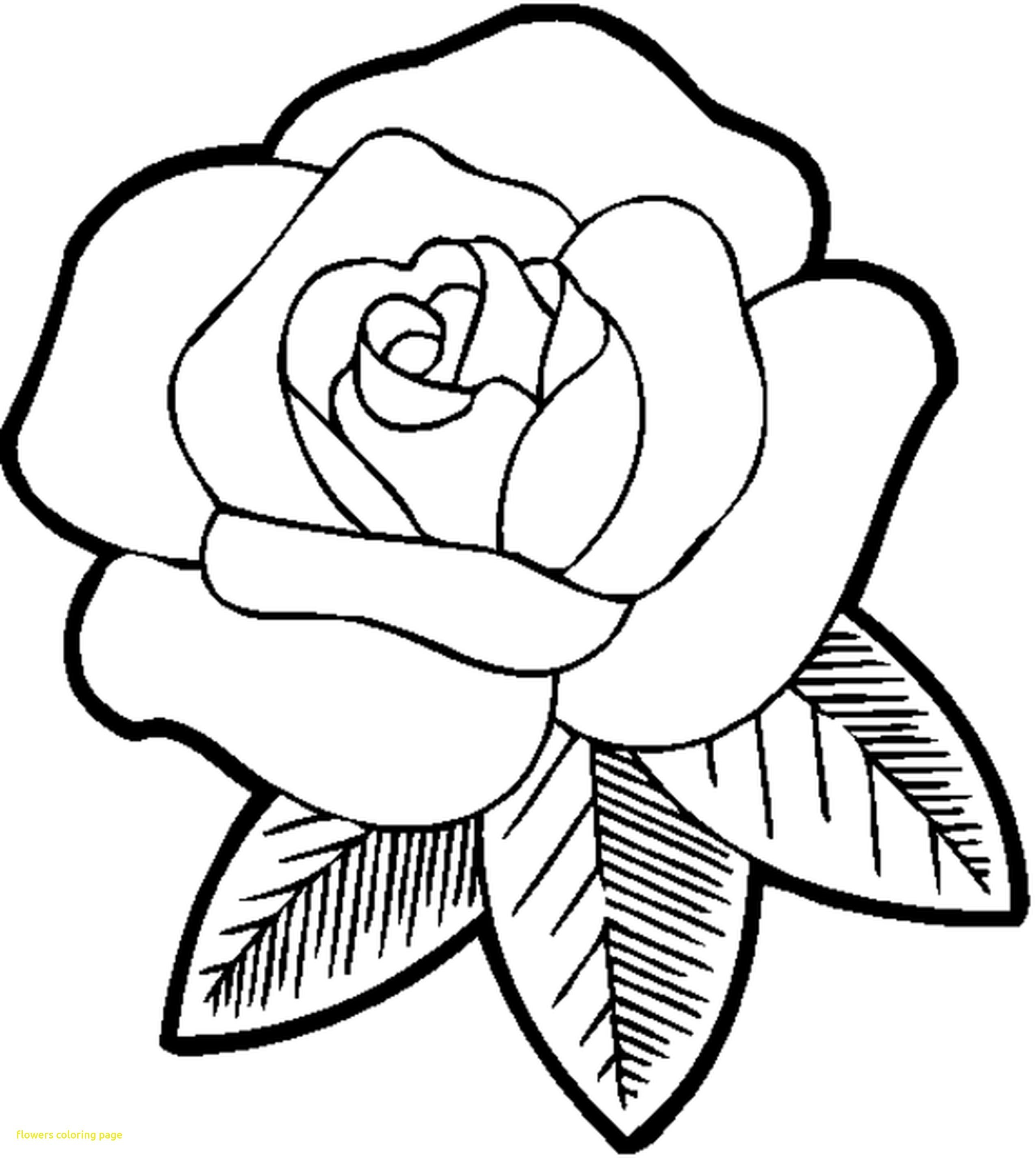 2550x2849 Rose Flower Coloring Sheets Amy Pages Colouring Roses Border Guns