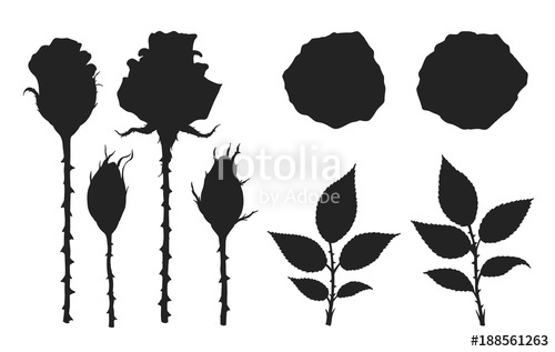 500x317 Rose Vector Set
