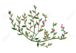 300x210 Tiny Flower Drawing