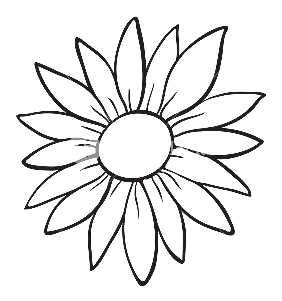 939x1000 Detailed Illustration Of A Flower Sketch On White Royalty Free