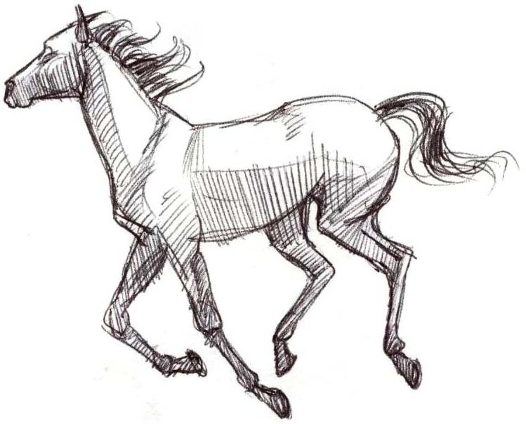 Detailed Horse Drawing