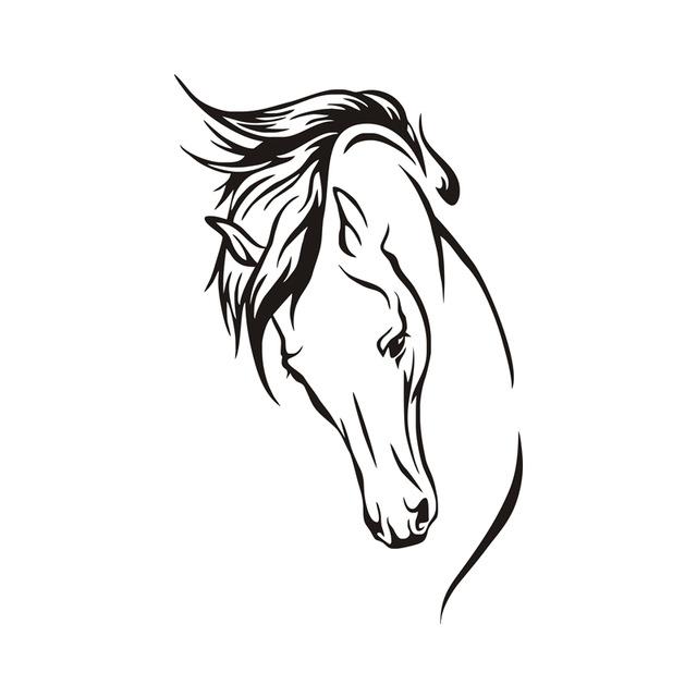 640x640 Horse Head Wall Sticker Horse Lover Gift Shop