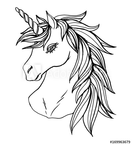 455x500 Realistic Detailed Hand Drawn Illustration Of An Unicorn Head