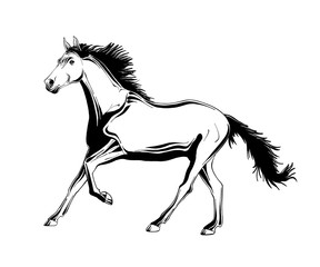 288x240 Vector Engraved Style Illustration For Posters, Decoration