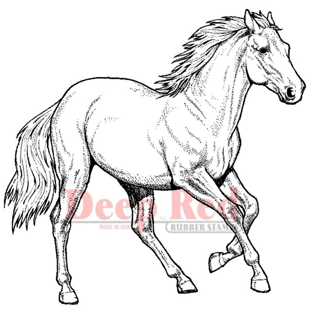 1000x1000 wild horse rubber cling stamp