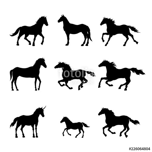 500x500 Black Silhouette Of Horse Isolated Detailed Drawing Of Mustang