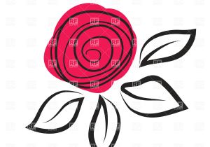 300x210 Vector Drawing Of A Rose Detailed Vector Roses Flowers Plants